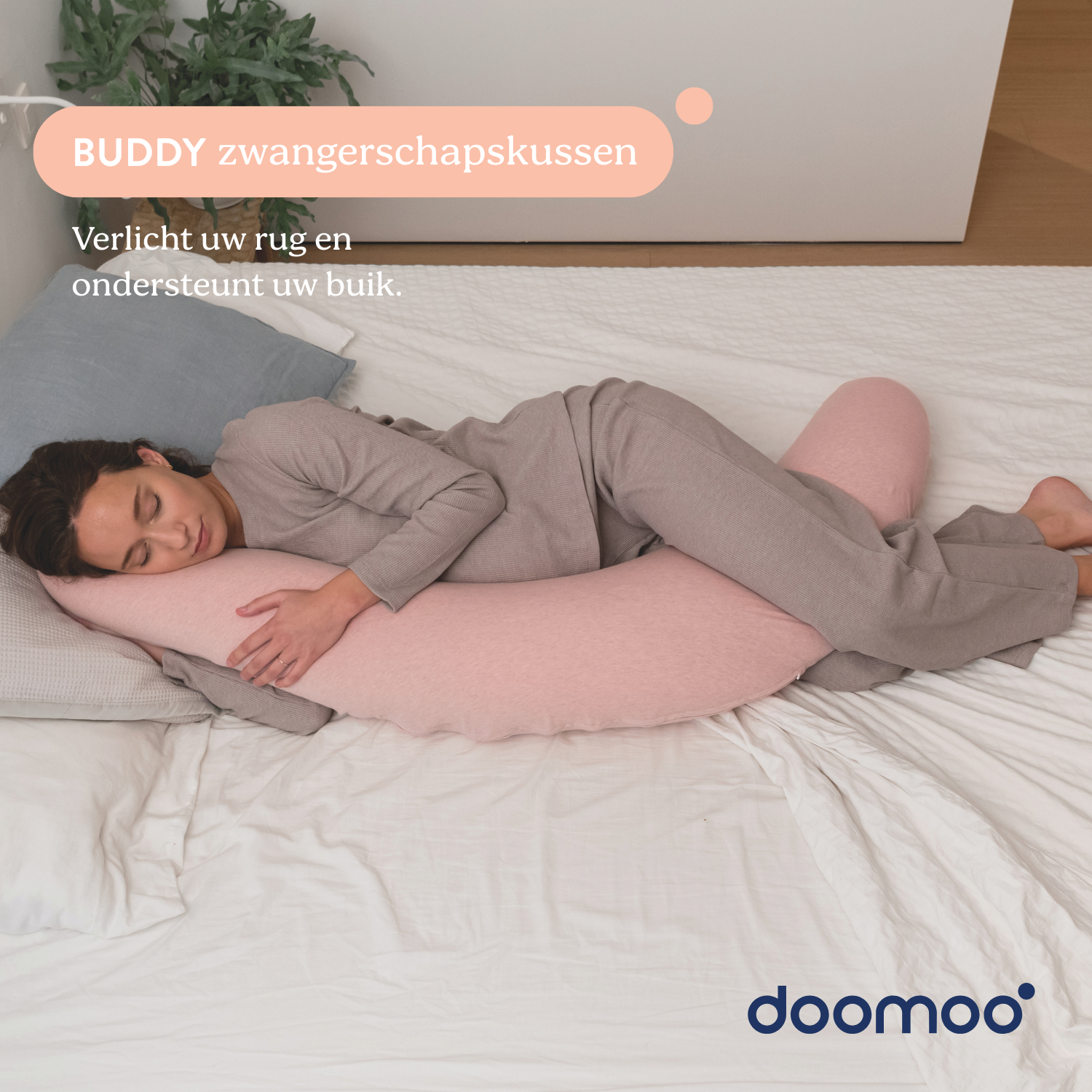 #Couleur_Chiné Rose |NL