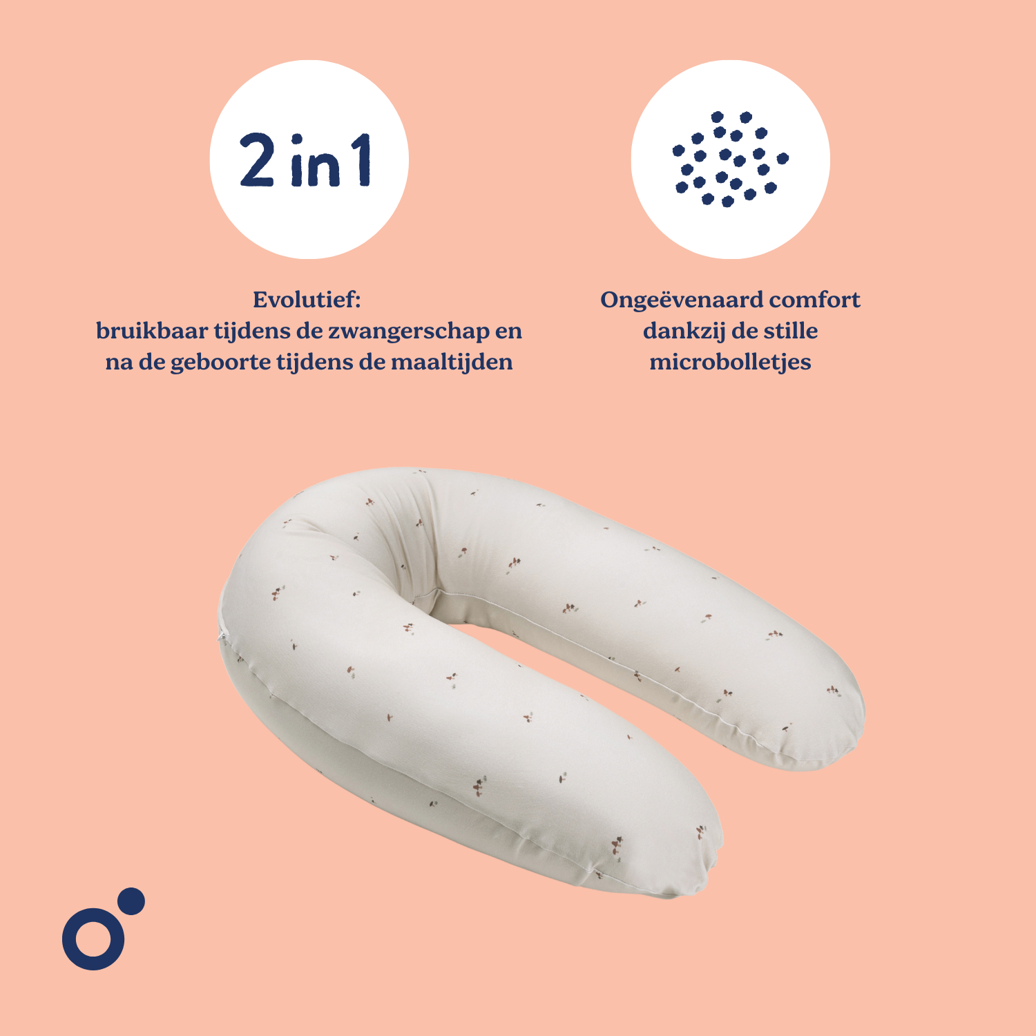 #Champignons_colorés |NL