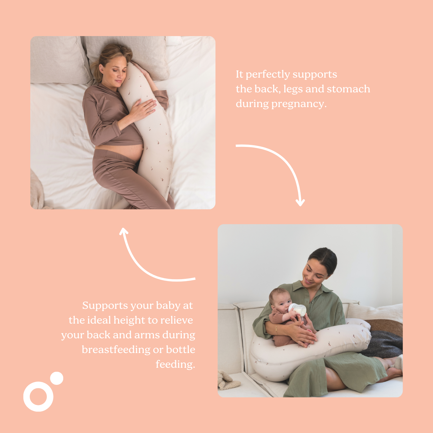 #Champignons_colorés |EN