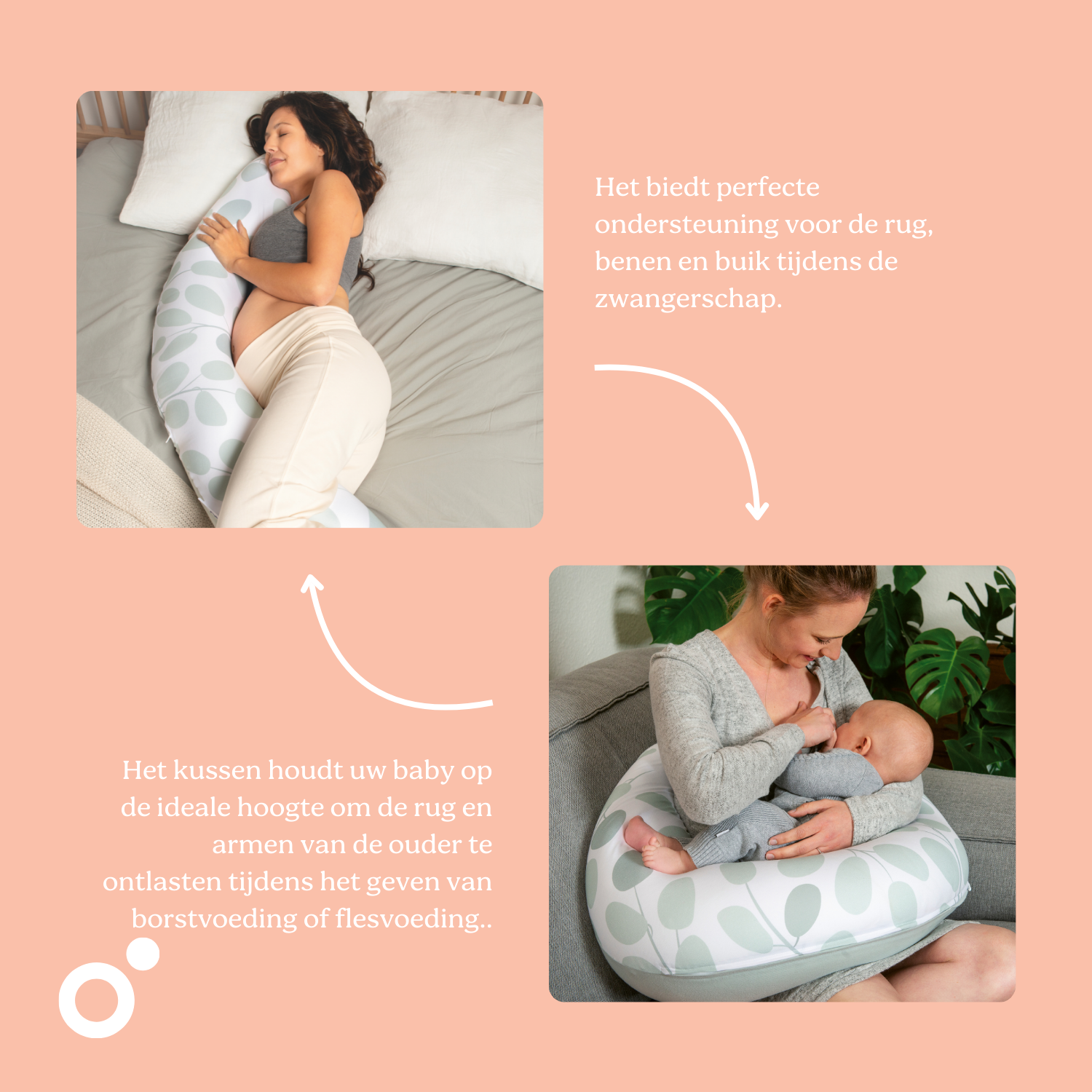 #Color_Leaves Aqua Green |NL