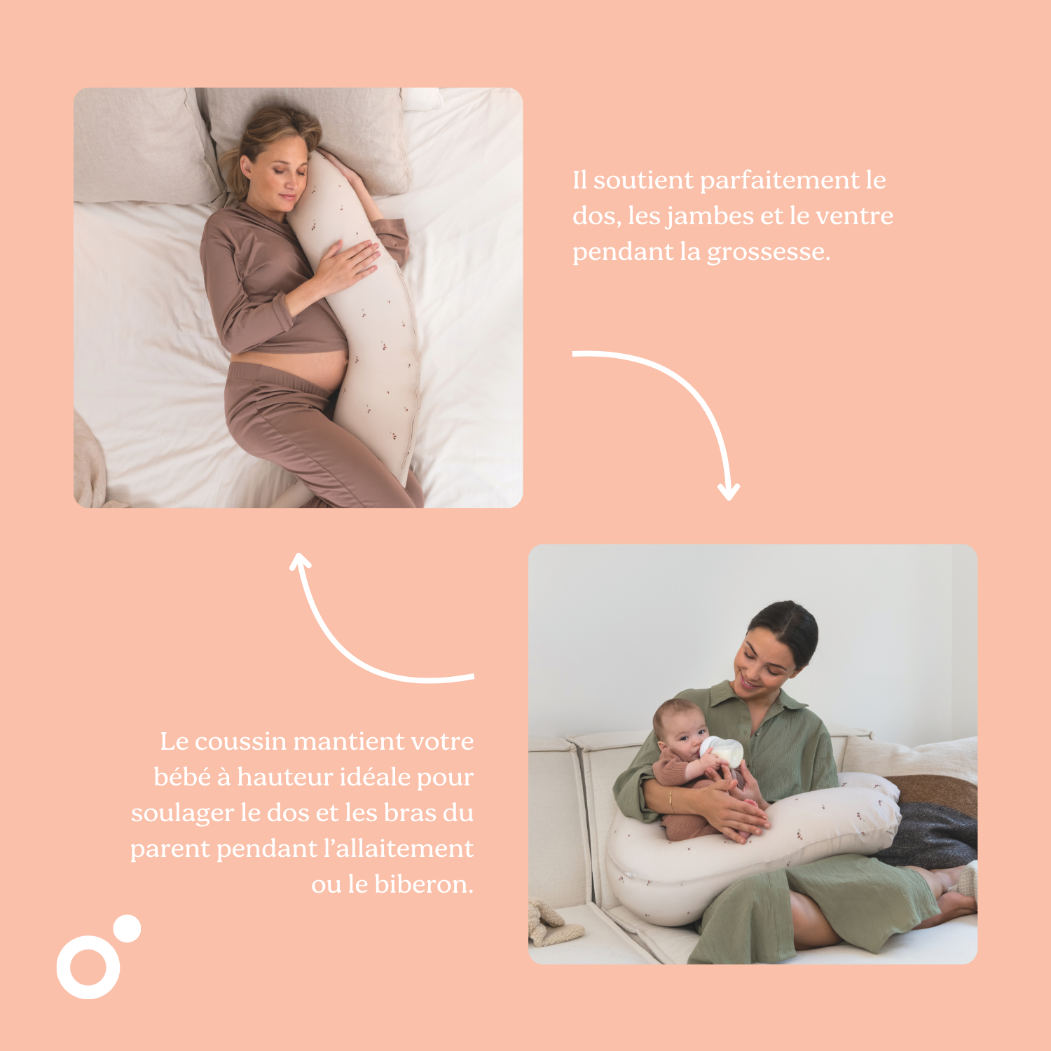 #Color_Mushrooms |FR