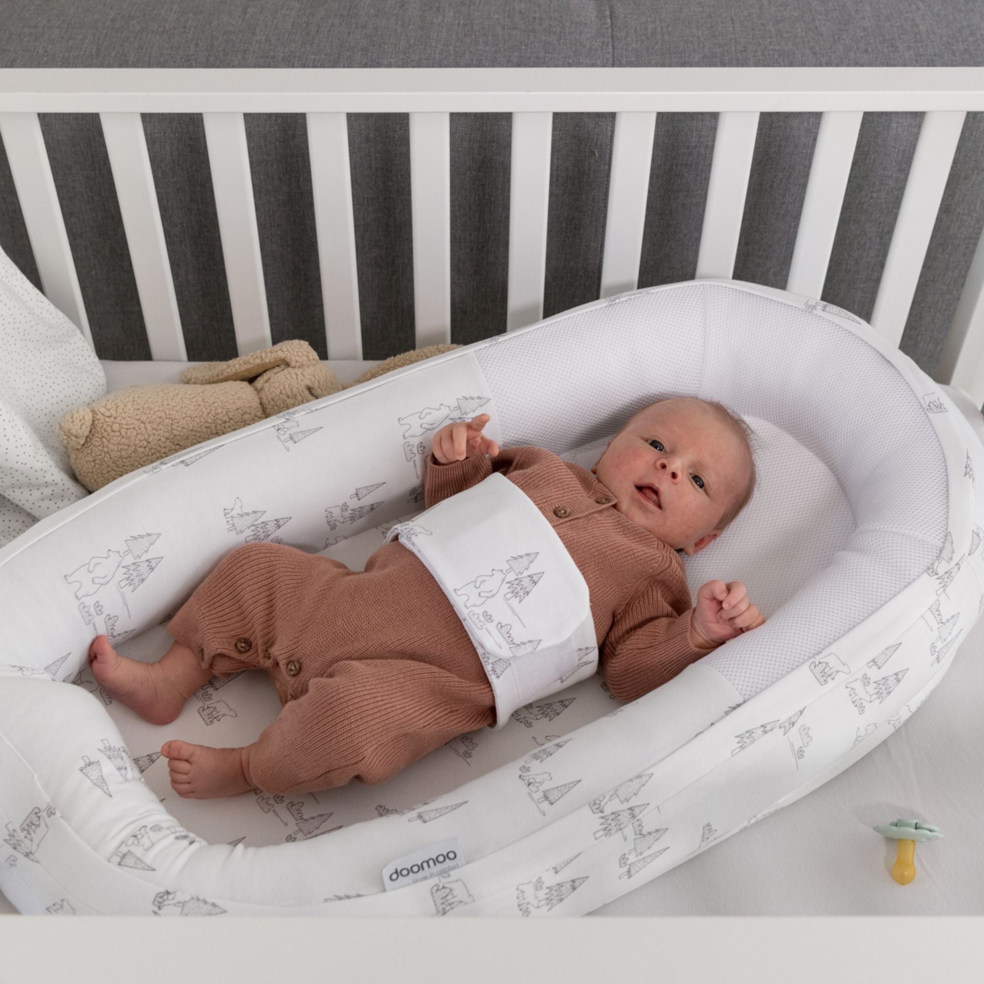 Cocoon Bear Family